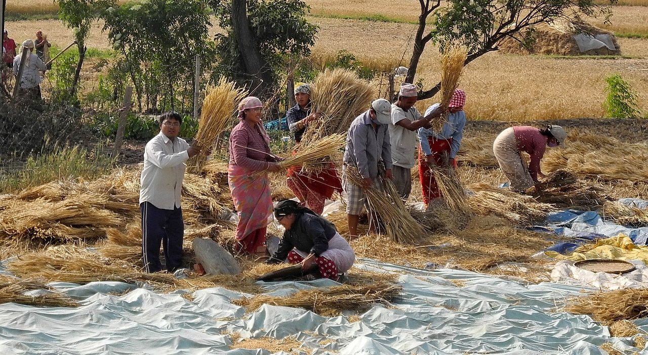 Live like a Farmer for a Day